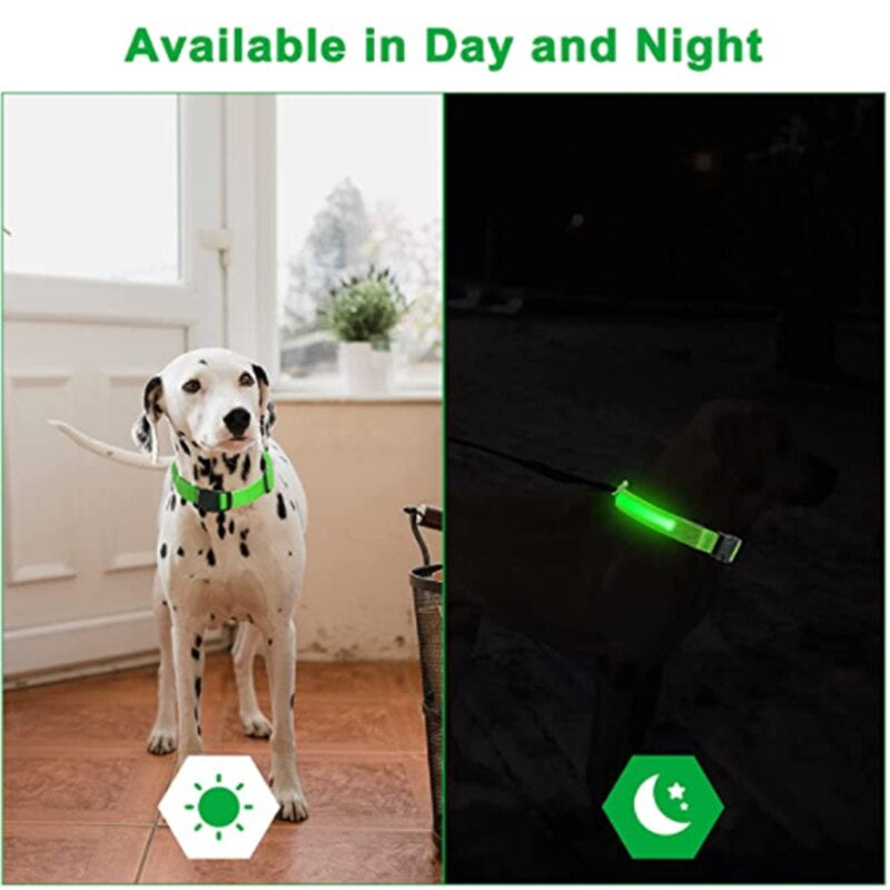 LED Glowing Dog Collar Adjustable Flashing Rechargea Luminous Collar Night Anti-Lost Dog Light Harnessfor Small Dog Pet Products